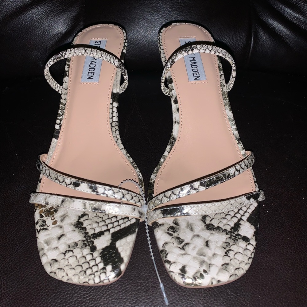 STEVE MADDEN Square Toe Heels Size 8 New